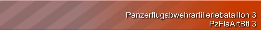 Panzerflugabwehrartilleriebataillon 3 PzFlaArtBtl 3