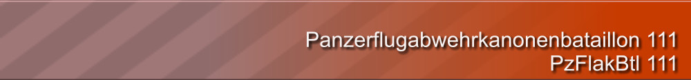 Panzerflugabwehrkanonenbataillon 111 PzFlakBtl 111