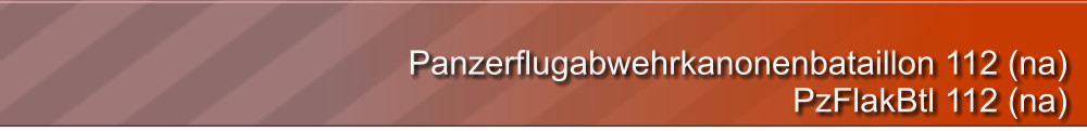 Panzerflugabwehrkanonenbataillon 112 (na) PzFlakBtl 112 (na)